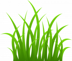 28+ Collection of Grass Clipart Png | High quality, free cliparts ...
