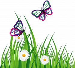 Adobe Illustrator Graphic design Download - Daisy Butterfly 1789 ...