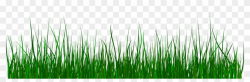 Green Grass Clip Art - Grass Gif Transparent Background, HD ...