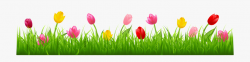 Grass With Colorful Tulips Png Clipart - Tulips Clipart ...