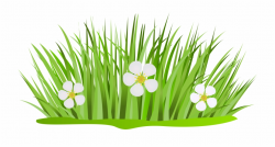 Grass With Flowers Png Clip Art Image - Grass With Flower ...