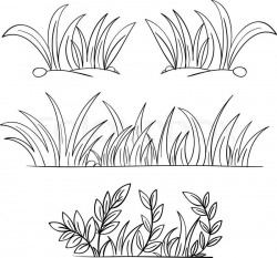 Grass Drawing Black And White Grass vector | Hair & Beauty ...