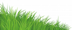 Grass Element PNG Clipart Picture | Gallery Yopriceville - High ...