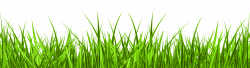 Grass PNG Clip Art Image | Gallery Yopriceville - High-Quality ...