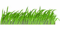 Lawn Mowers Animation Clip art - grass 1920*960 transprent Png Free ...