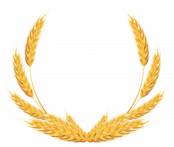 Wheat Decoration PNG Clipart Image | Gallery Yopriceville - High ...