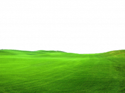 Green Grass PNG FILE - Use freely by TheArtist100 on DeviantArt ...