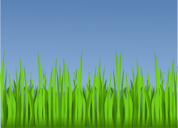 Download Lawn Clipart Forest - Forest Grass Clipart PNG ...