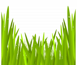 Green Grass Transparent PNG Clip Art Image | Gallery Yopriceville ...