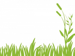 Green grass clipart free stock photo public domain pictures ...
