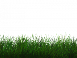 Free Transparent Grass Texture Seamless PNG (Nature-Grass-And ...