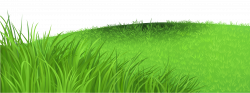 Grass Deco PNG Clipart Picture | Gallery Yopriceville - High ...