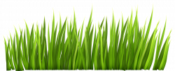 Clip Art Grass - Alternative Clipart Design •