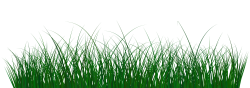 Green Grass PNG Clip Art Image | Gallery Yopriceville ...