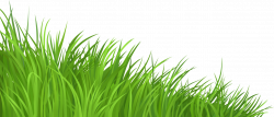 Lawn Clip art - grass 1280*552 transprent Png Free Download - Lawn ...