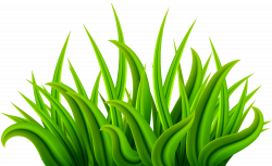 Grass Green PNG Clip Art Image | Gallery Yopriceville - High ...