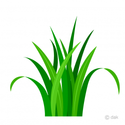 Simple Green Grass Clipart Free Picture｜Illustoon