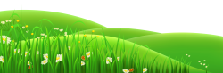 Meadow Euclidean vector Clip art - Transparent Flowers and Grass PNG ...