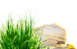 Download Lawn Clip art - Green Fresh Grass Stones Decorative ...