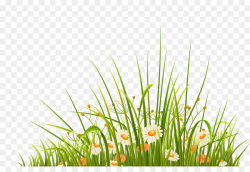 Green Grass Background png download - 1024*683 - Free ...