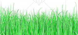 Grass clipart illustration of a white background with green ...
