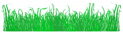 Clipart - Grass for a lawn