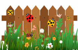 Fence Cartoon Ladybird - The seven-star ladybug on the fence 2994 ...