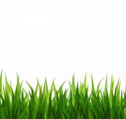 Green grass clipart #44861 - Free Icons and PNG Backgrounds