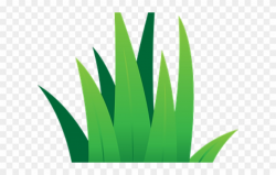 Green,Leaf,Grass,Plant,Grass family,Logo,Graphics,Flower ...