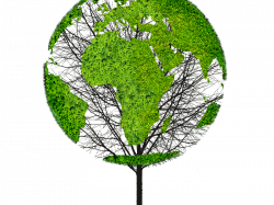 Earth World Map Green Tree PNG Object for Photoshop (Isolated ...
