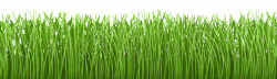 Ground clipart long grass - Pencil and in color ground clipart long ...