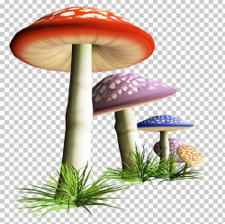 Mushroom Fungus PNG, Clipart, Cartoon Mushroom, Clip Art ...