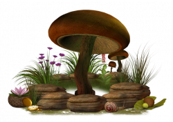 Mushroom png stock by collect-and-creat on DeviantArt