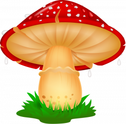16.png | Pinterest | Mushrooms, Clip art and Rock painting