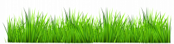 28+ Collection of Free Grass Border Clipart | High quality, free ...