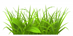 100+Free Grass Clipart Images & Photos Download【2018】