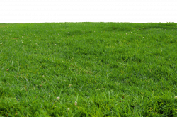 Grass at Park 1 Stock Photo-PNG-0166 by annamae22.deviantart.com on ...