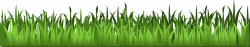 Clipart - Grass Only