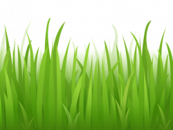 Grass Clipart Photo Gallery | Clipart Panda - Free Clipart Images