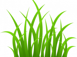 Cartoon Grass Texture Free Download Clip Art - carwad.net