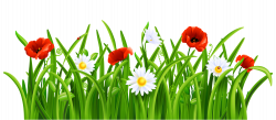 Poppies and Daisies with Grass PNG Clipart Picture | Gallery ...