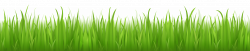 Download Grass Png Image Green Picture HQ PNG Image | FreePNGImg