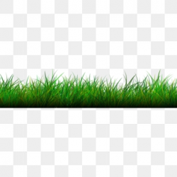 Grass PNG Images, Download 16,747 Grass PNG Resources with ...