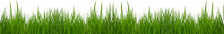 Grass PNG Picture Clipat | Gallery Yopriceville - High-Quality ...