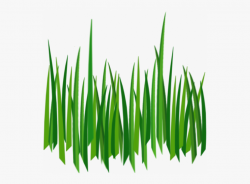 Lawn Clipart Row Grass - Cartoon Grass Transparent ...