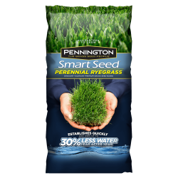Smart Seed Perennial Ryegrass - Grass Seed | Pennington