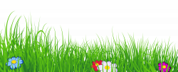 grass clipart no background - Google Search | Borders and Clip Art ...