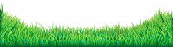 Grass PNG Transparent Clip Art Image | Gallery Yopriceville - High ...