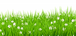 Transparent Grass with White Flowers Clipart | Gallery Yopriceville ...