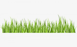 Green And Simple Grass | Outdoor wedding | Grass clipart ...